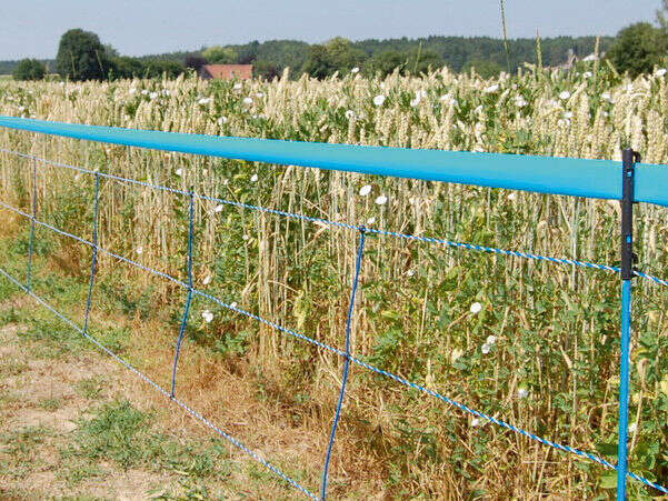 AKO Wildschweinabwehrnetz